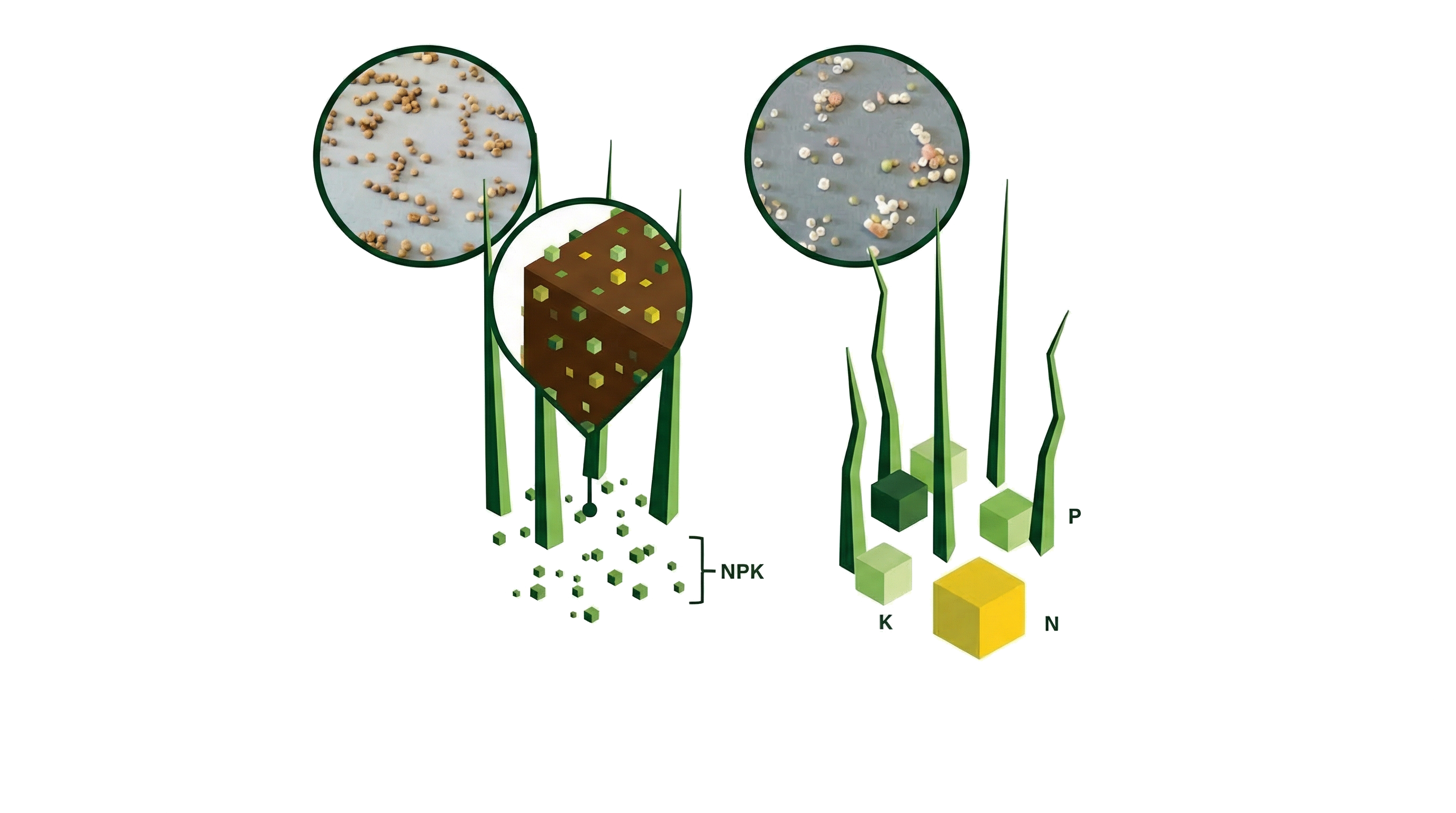 Carbon90Plus and traditional fertilizer comparison