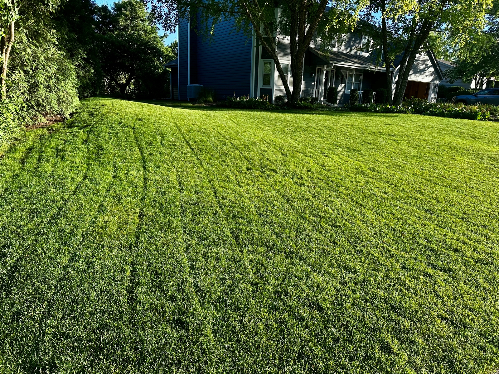 Lawn treatment service application