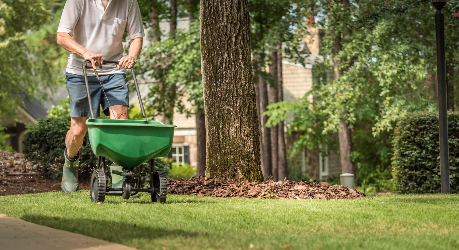 Should You Treat Your Own Lawn or Hire a Service?