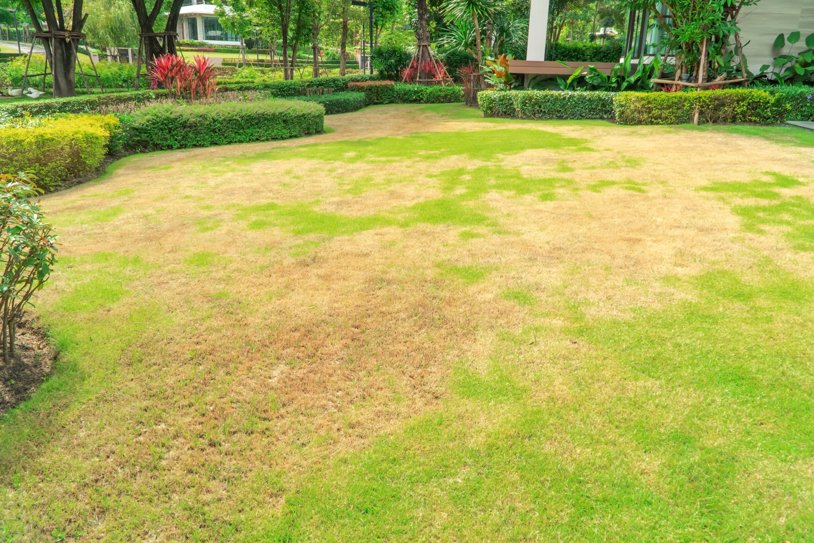 Will Fertilizer Burn Your Lawn — and How Do You Avoid It?