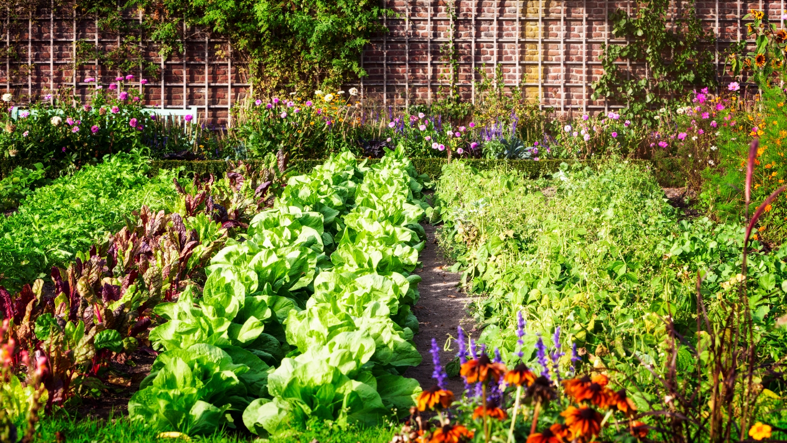 Which ProPeat Blend Is Best for Vegetables and Flowers?